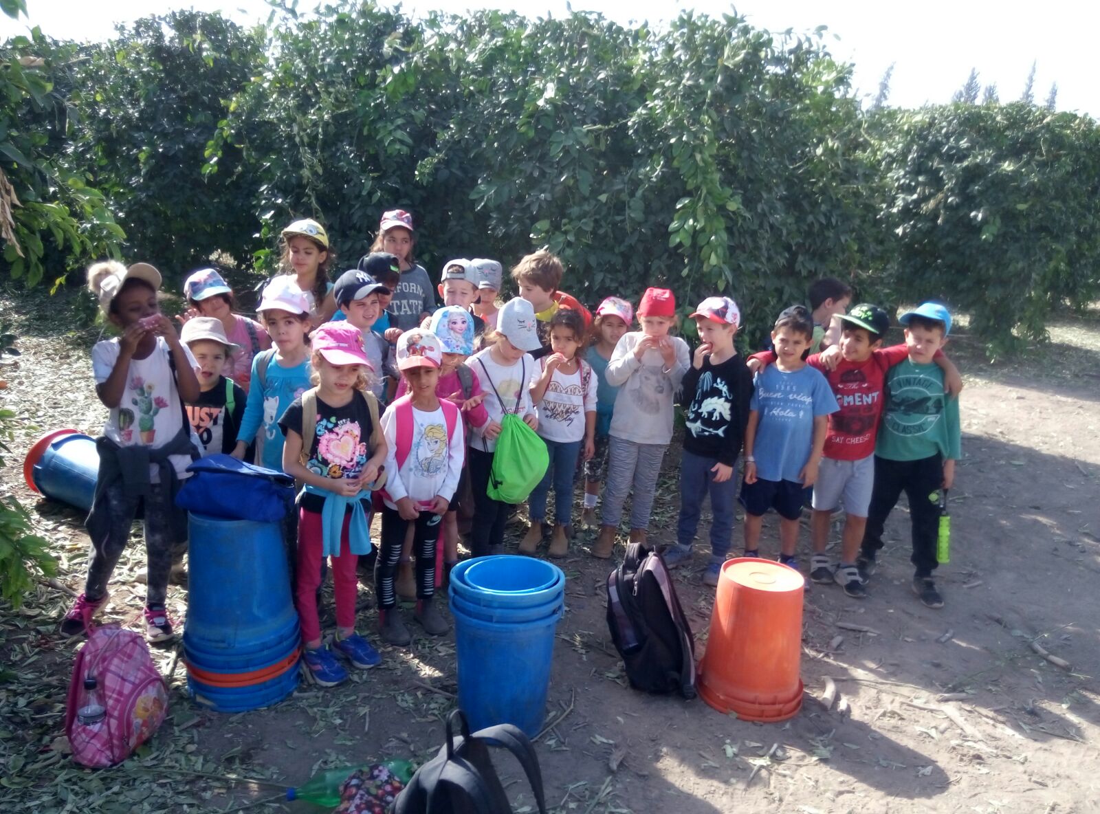 מאות מילדי ואנשי עמק הירדן הגיעו ביום שישי לקטיף תפוזים בשיתוף "לקט ישראל" ובעזרת המועצה האזורית 