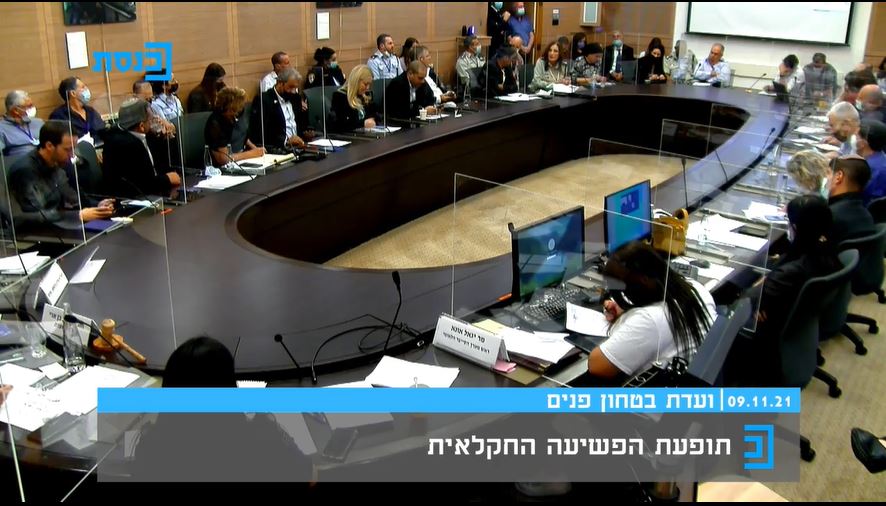 צילום מתוך שידור הוועדה באתר הכנסת