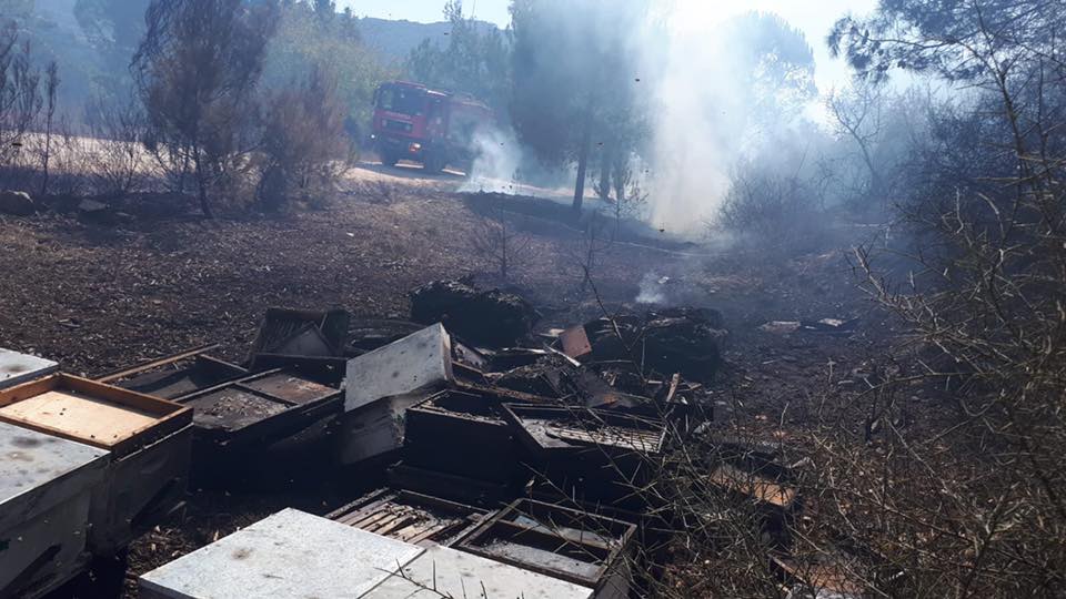 הכוורות השרופות בדן