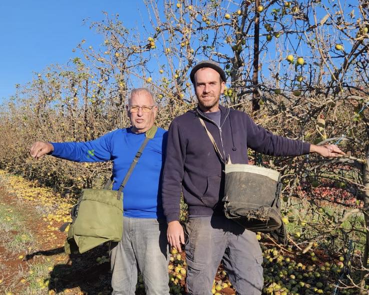 מתנדבים בקיבוצים