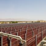 במפעל בקטורה